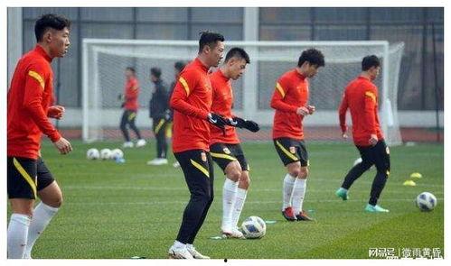 足球爆料计划最新消息,独家揭秘赛事内幕与精彩瞬间  第2张